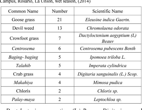 common weeds in the philippines with scientific name|(PDF) Survey and Identification of Common Weeds  .